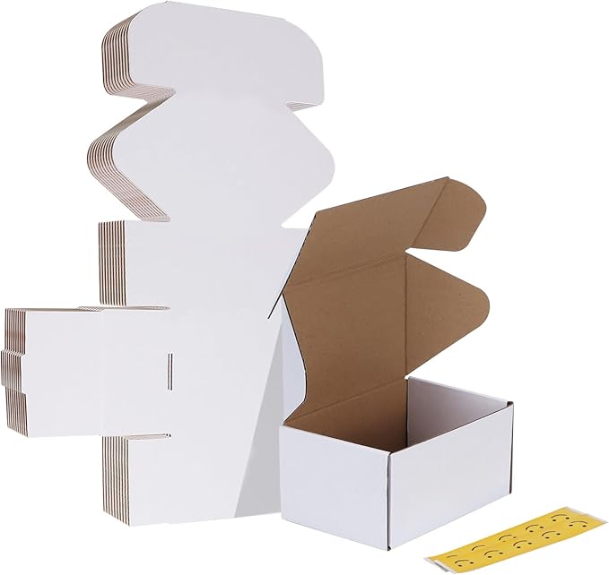 HORLIMER 10 Pack 6x4x3 Shipping Boxes, Small Business by HORLIMER