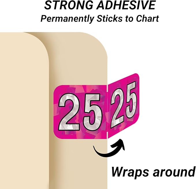 2025 Year Stickers, Doctor Stuff 2025 Chart Stickers, Holographic Fuchsia - Image 3