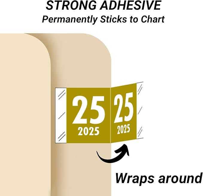 2025 Year Labels, Doctor Stuff 2025 Chart Stickers, Tabbies 11700 Style - Image 3