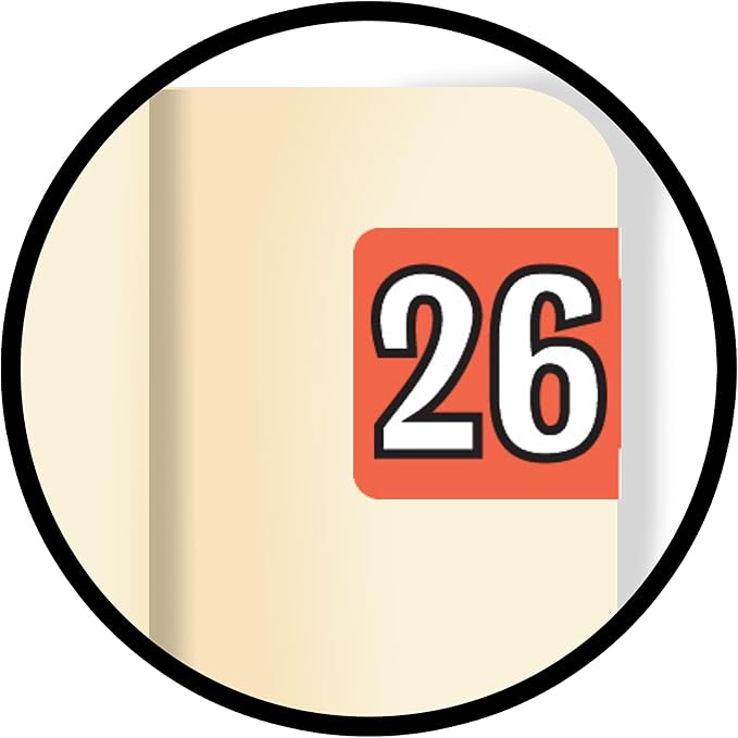 MINI 2026 Year Labels, Doctor Stuff 2026 Chart Stickers, Colwell Jewel Tone - Image 9
