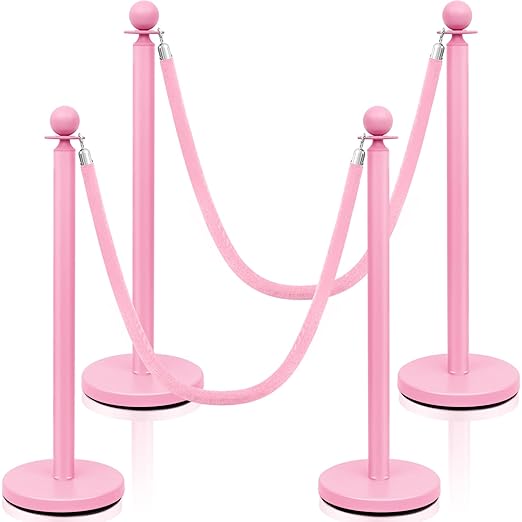 Ferraycle 4 Pcs Stainless Steel Stanchions Post Queue 38 Inch, 5 ft Velvet Rope by Ferraycle