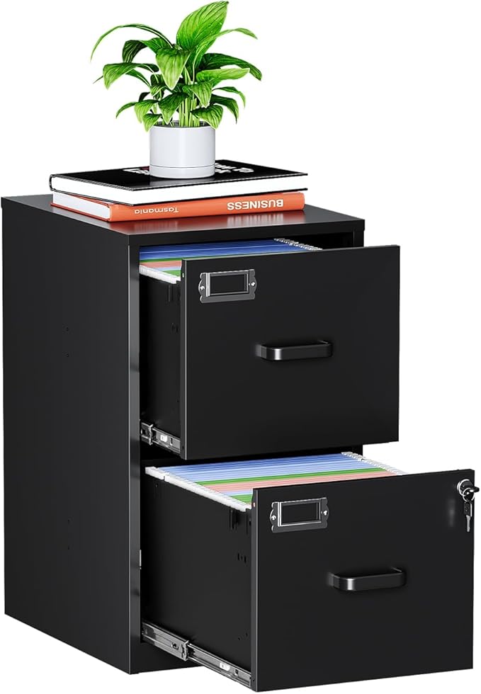 MIIIKO 2 Drawer Filing Cabinet by MIIIKOOfficeFurniture