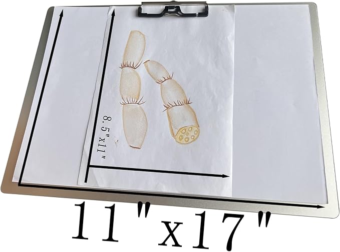 Horizontal Aluminum Clipboard, 11x17 Inches A3 Side Clip Metal Clipboards - Image 6