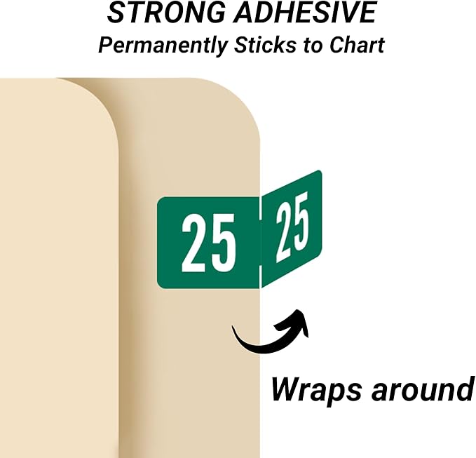 2025 Small Year Labels, Doctor Stuff 2025 Chart Stickers, Tab Products Style - Image 3