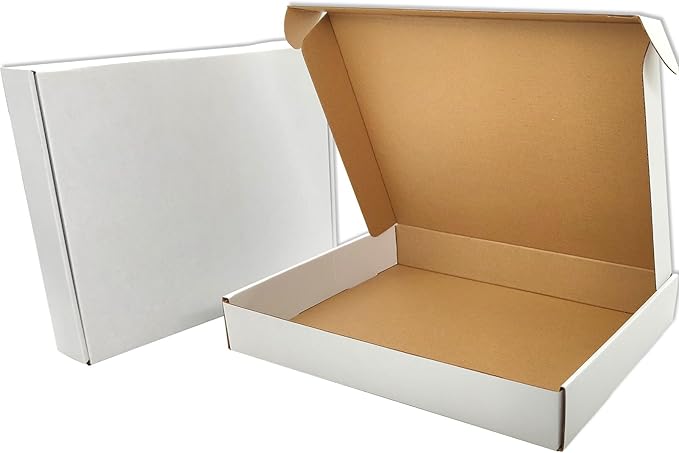 White Shipping Boxes for Small Business Pack of 25-13x10x2 inches Cardboard by Lmuze