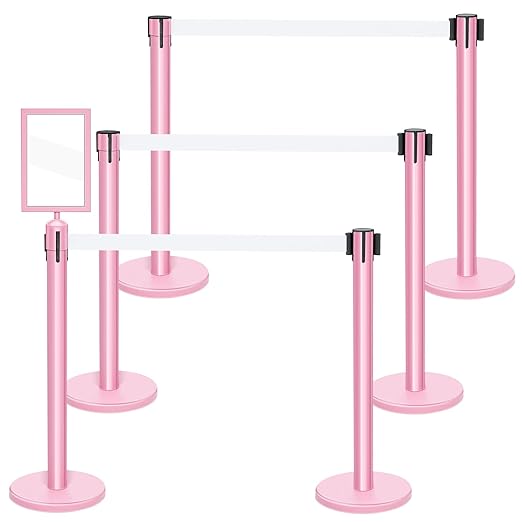 Therwen 6 Pack Heavy Duty Crowd Control Stanchions 9.8 ft Stainless Steel by Therwen