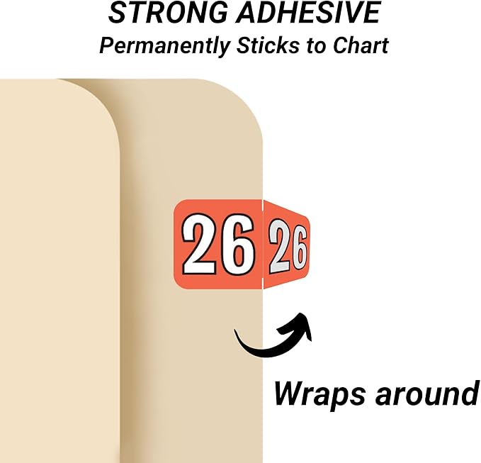 MINI 2026 Year Labels, Doctor Stuff 2026 Chart Stickers, Colwell Jewel Tone - Image 2
