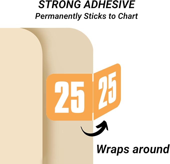 2025 Year Labels, Doctor Stuff 2025 Chart Stickers, Light Orange Color Coded - Image 3