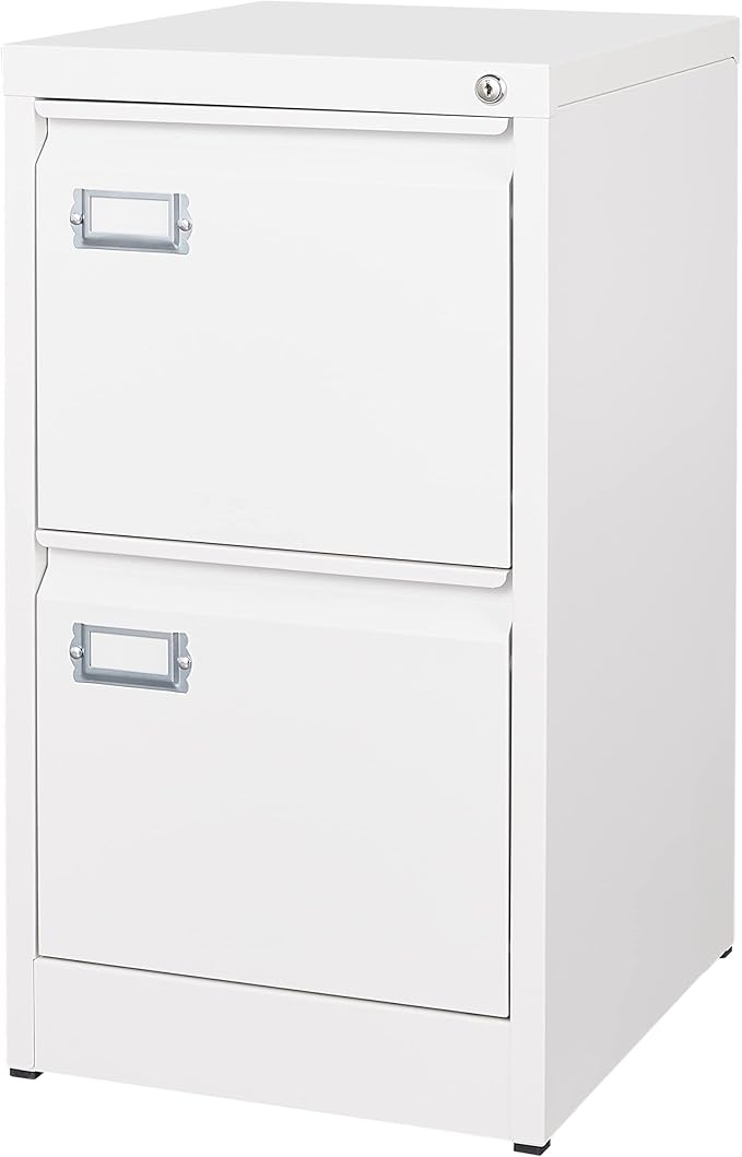 2 Drawer File Cabinet with Lock Metal Vertical Filing Storage Cabinet Office by BYNSOE