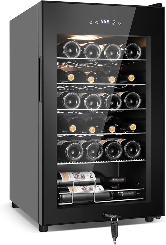 Tylza 24 Bottles Wine Fridge, Wine Cellar by TYLZA