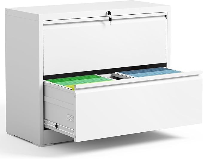 2 Drawer Lateral File Cabinet by BIZOEIRON