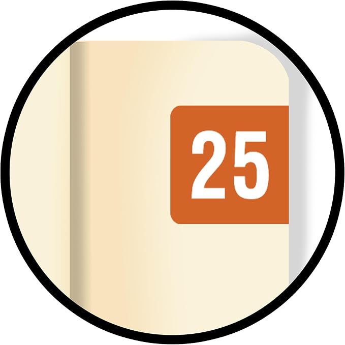 2025 MINI Year Stickers, Compatible - Image 9