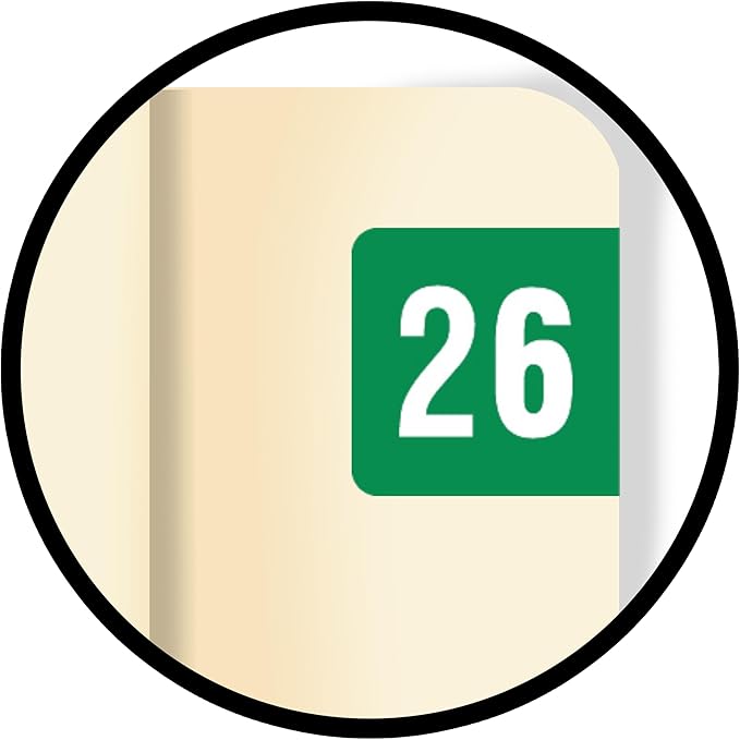 2026 MINI Year Stickers, Compatible - Image 9