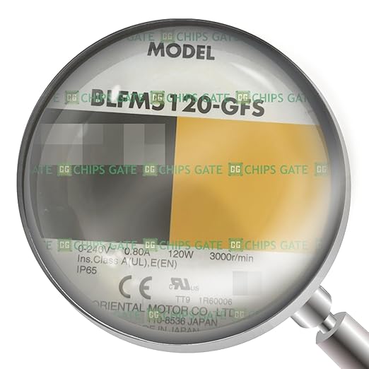 BLFM5120-GFS 1PC New in Box BLFM5120-GFS by Chipsgate