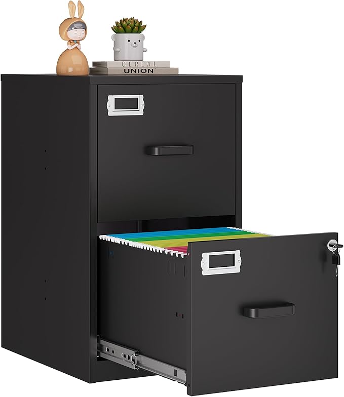 2 Drawer File Cabinet with Lock, Filing Cabinets by Anxxsu