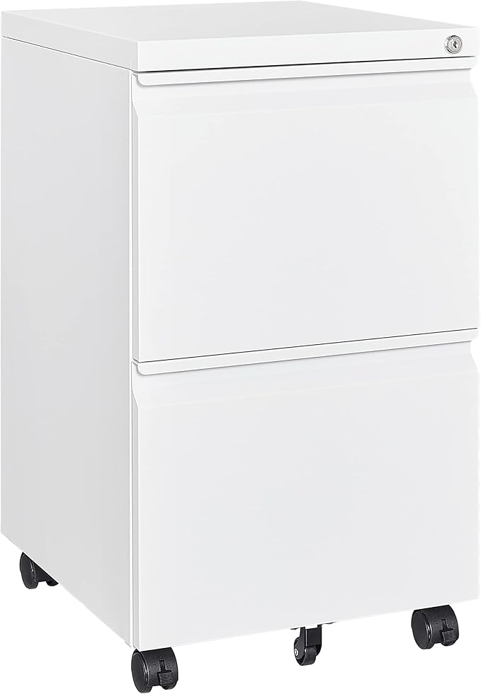 2 Drawers File Cabinet with Lock Metal Vertical File Cabient with Wheels Mobile by BYNSOE