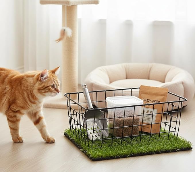 LeleCAT Wire Baskets with Handles Wire Storage Organizer Bin Baskets, Bedrooms - Image 4
