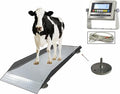 SellEton SL-929 Livestock & Cattle Alleyway Scale by SELLETONSCALES