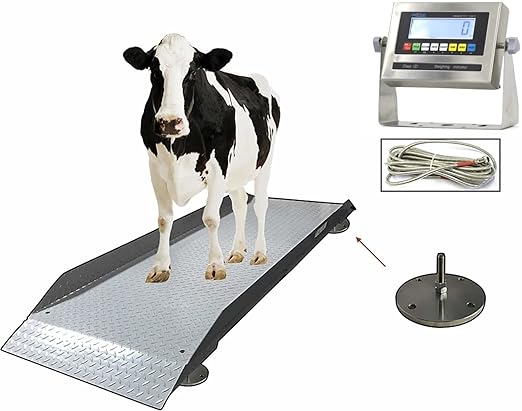 SellEton SL-929 Livestock & Cattle Alleyway Scale by SELLETONSCALES