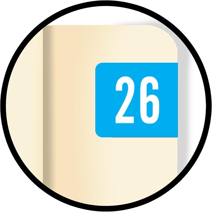 2026 Small Year Labels, Doctor Stuff 2026 Chart Stickers, Light Blue Color Coded - Image 9