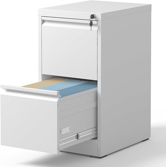 2 Drawer File Cabinet with Lock, Steel Vertical Filing Cabinets by BIZOEIRON
