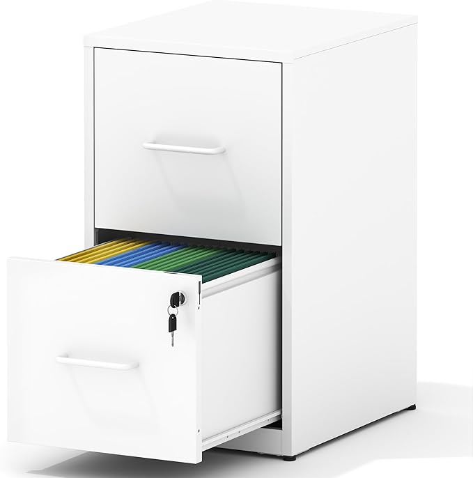 2 Drawer File Cabinet with Lock, Steel Vertical Filing Cabinets by BIZOEIRON
