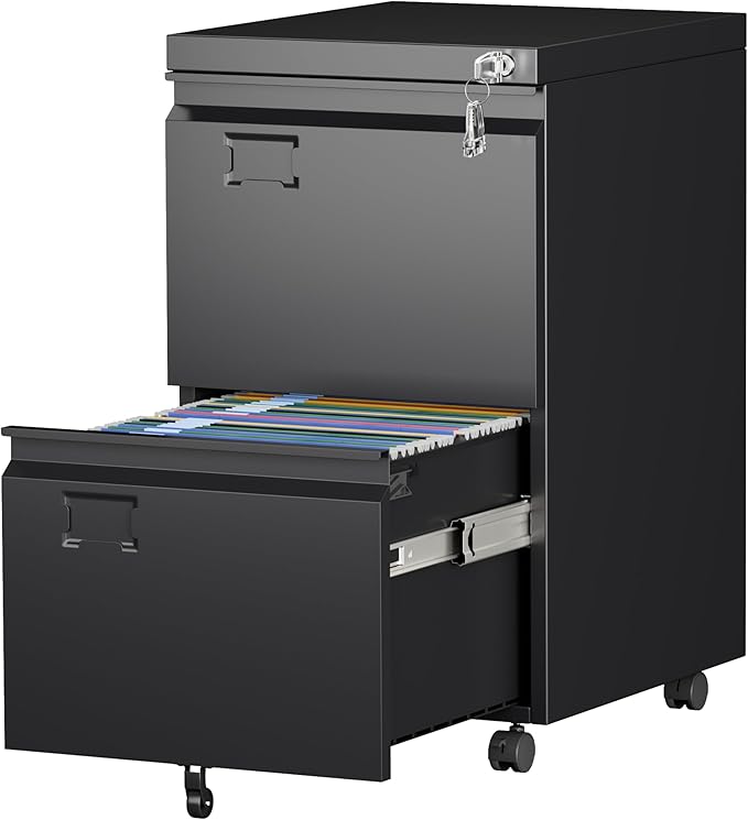 Aobabo 2 Drawer File Cabinet by Aobabo