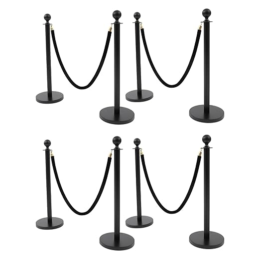 8 Packs Stanchion Posts Black Stainless Steel Stanchion Post Queue 5 ft Black by Unknown