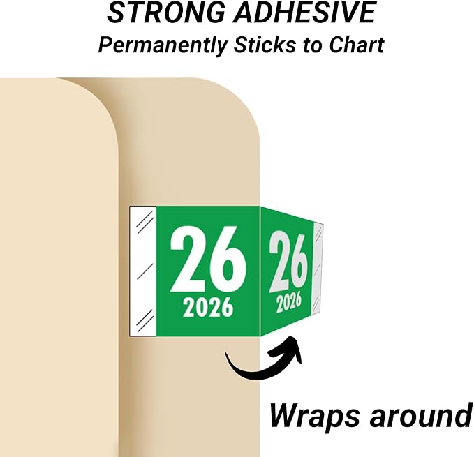 2026 Year Labels, Doctor Stuff 2026 Chart Stickers, Tabbies 11700 Style - Image 2