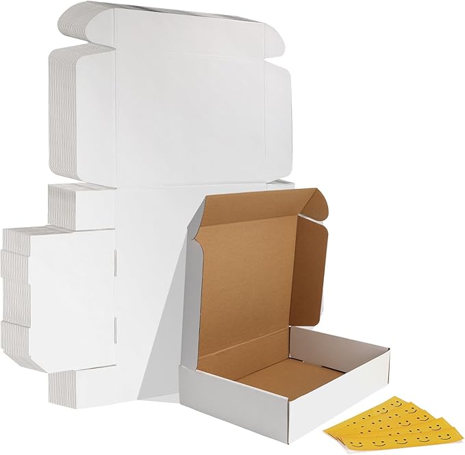 HORLIMER 13x10x3 inches Shipping Boxes Set of 25 by HORLIMER