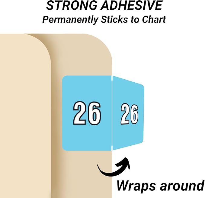 2026 Year Stickers, Doctor Stuff 2026 Chart Stickers, Light Blue Color Coded - Image 2