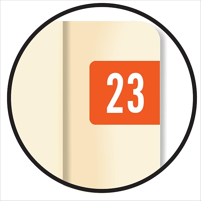 Doctor Stuff 2023 Year Stickers, Dark Orange, 1/2" x 1-1/8", Medical Folder - Image 8