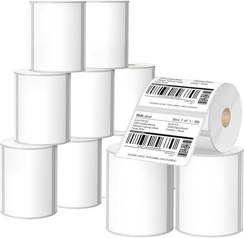 12 Rolls 4" X 3" Thermal Labels, 500/Roll by BIAlabel