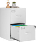 2 Drawer Vertical File Cabinet by Anxxsu