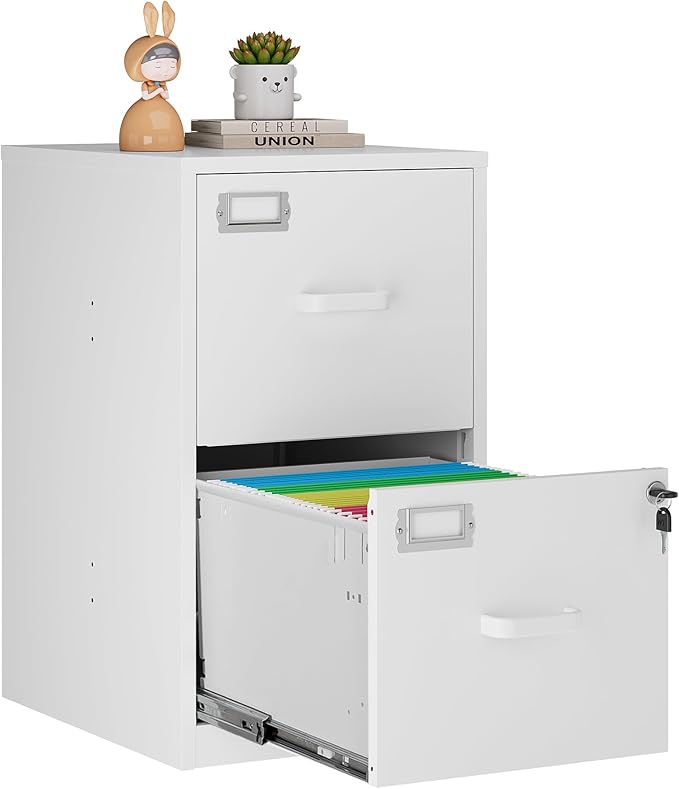 2 Drawer Vertical File Cabinet by Anxxsu