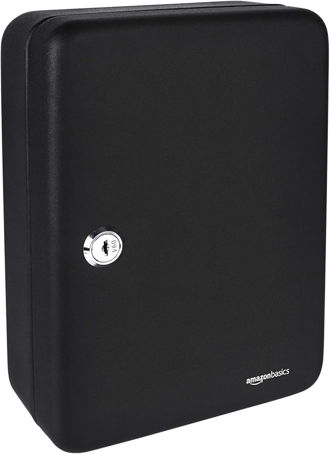 Amazon Basics Locking Steel Cabinet Security Lock Box by AmazonBasics