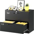 Lateral File Cabinet with Lock, 2 Drawer Large Metal Filing Cabinet, Home by Fesbos