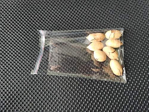 Cellophane Bag 5 x6.5 inch Clear Resealable Bags Plastic Self Adhesive Bags Good for Bakery,Favors, Candle, Soap, Cookie Office Stationery Storage Bags,Arts & Crafts (5X6.5inch-100Pcs) - Image 3