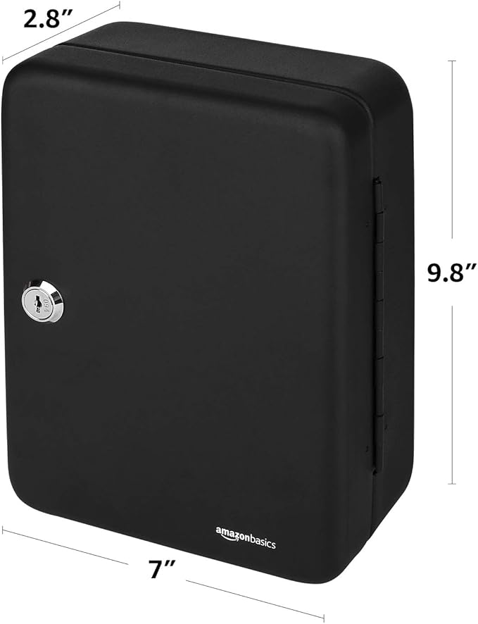 Amazon Basics Locking Steel Cabinet Security Lock Box - Image 3