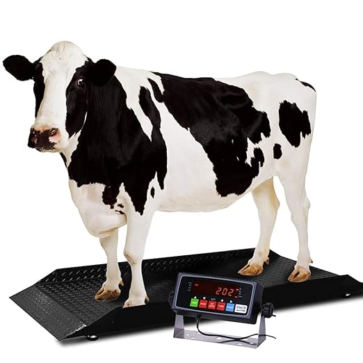 Large Farm Animal Scale/Digital Livestock Weighing Equipment, Capacity 4000 x 1 by PECSCALES