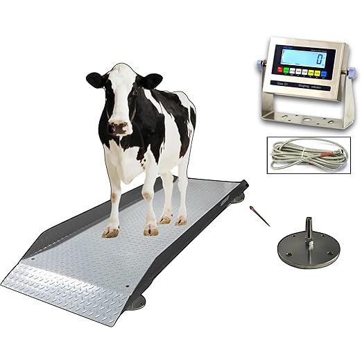 SellEton SL-929 Livestock & Cattle Alleyway Scale by SELLETONSCALES