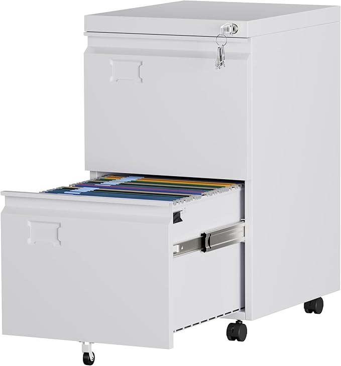 Aobabo 2 Drawer File Cabinet by Aobabo