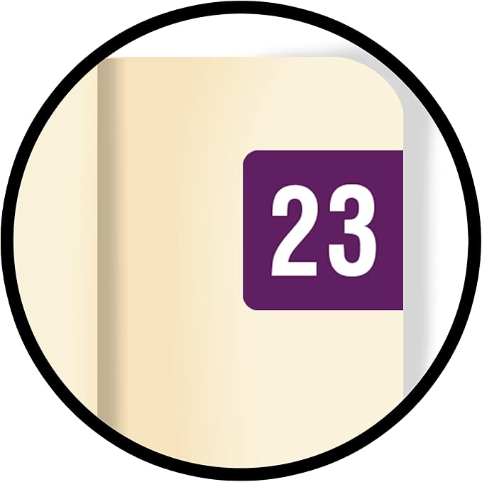 2023 MINI Year Stickers, Compatible - Image 9