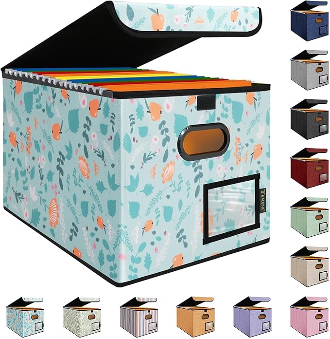 BALEINE File Organizer Box by BALEINE