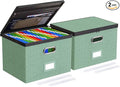 Oterri 2 Pack Large File Organizer Boxes by Oterri