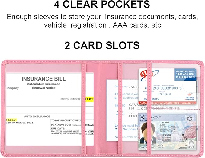 Cacturism Car Registration and Insurance Holder, Vehicle Glove Box Car - Image 2