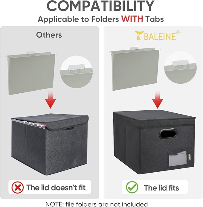 BALEINE File Organizer Box - Image 4