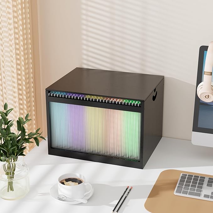 Black Bamboo & Acrylic File Box by LONTAI