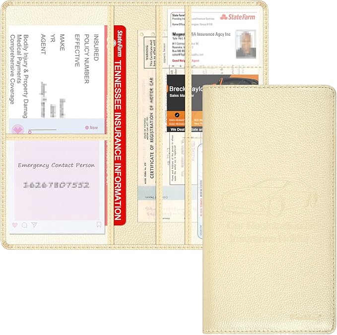 Car Insurance and Registration Holder, 9.5 x 5 Inch PU Leather Vehicle Glove by Techion