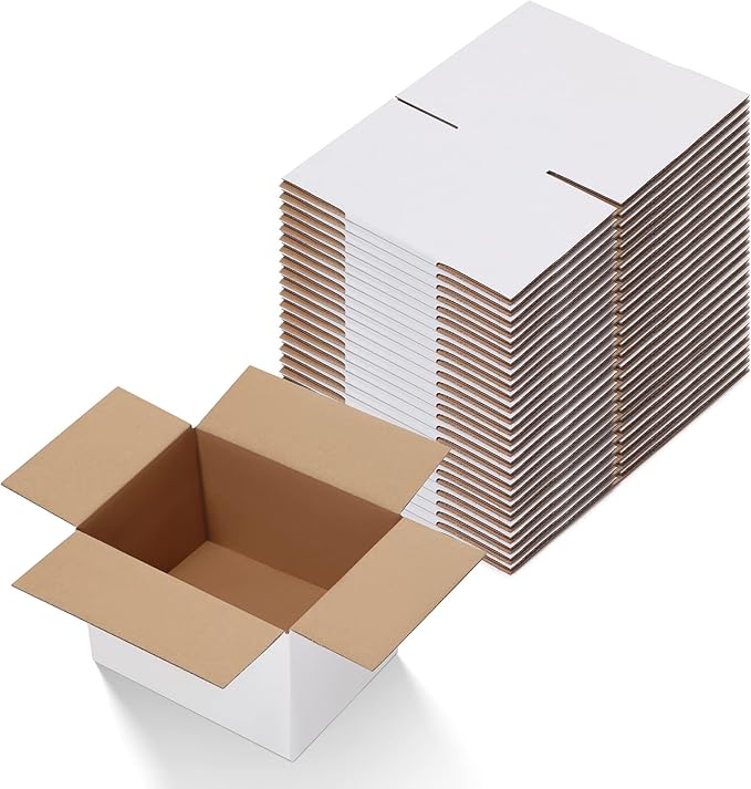 Calenzana 8x6x4 Shipping Boxes Set of 25 by Calenzana